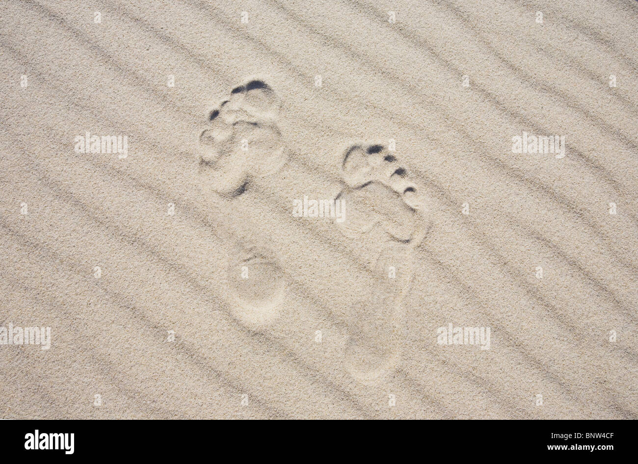 Orme nella sabbia Foto Stock