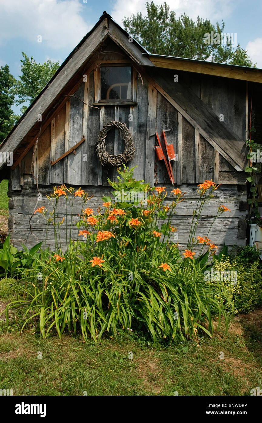Il fosso di arancione lily gigli giardino dei mestieri del paesaggio Foto Stock