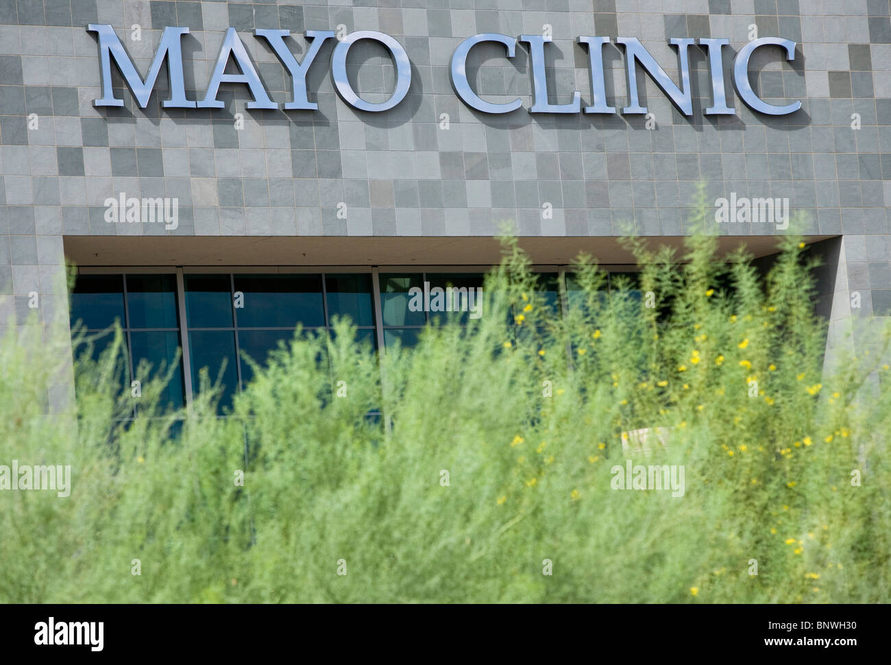 La Mayo Clinic in Arizona. Foto Stock