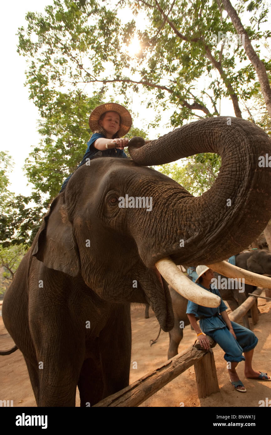 Elephant Conservation Centre, Lampang, Thailandia, Asia Foto Stock