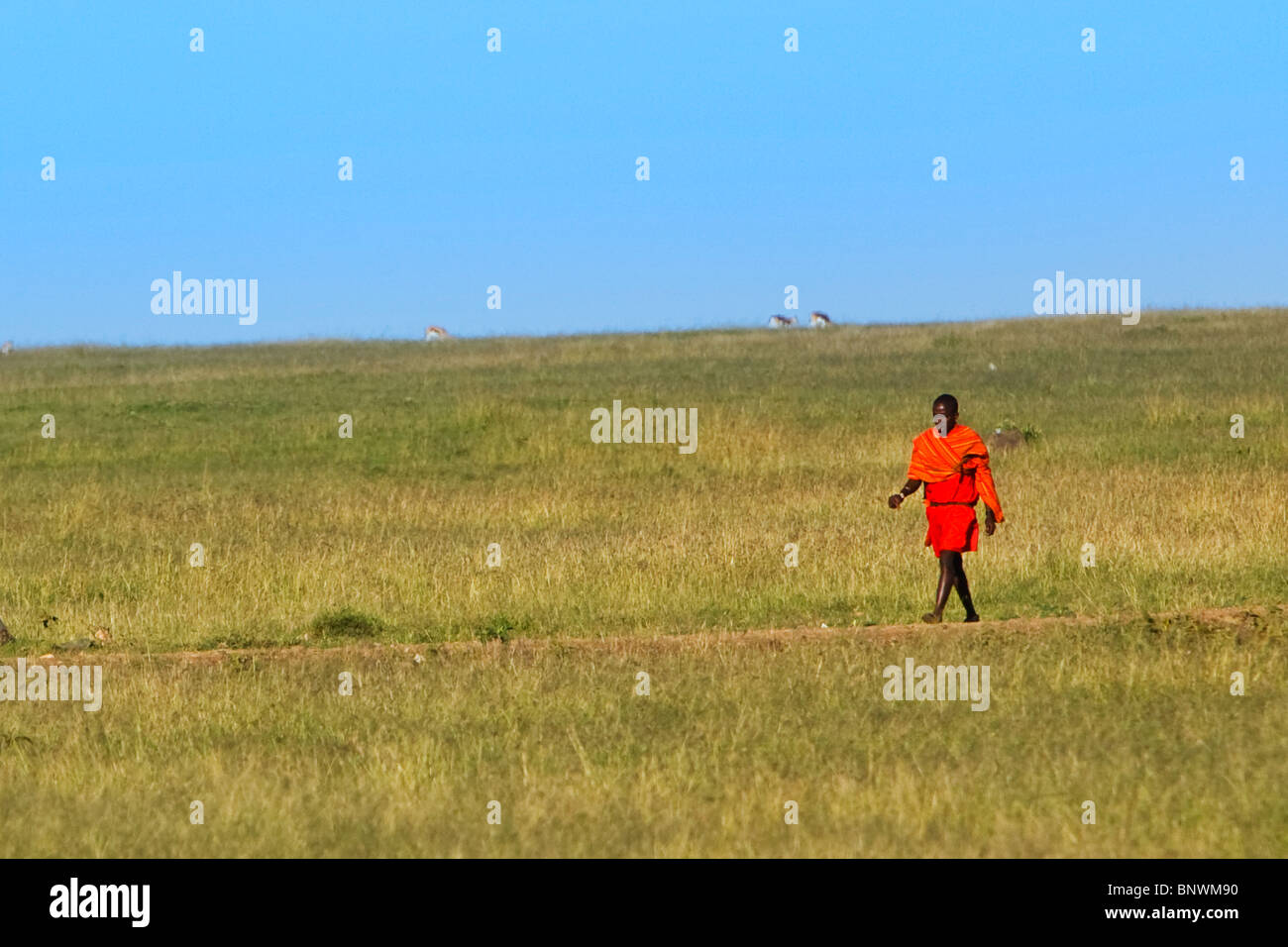 Masai uomo camminano in Mara Foto Stock