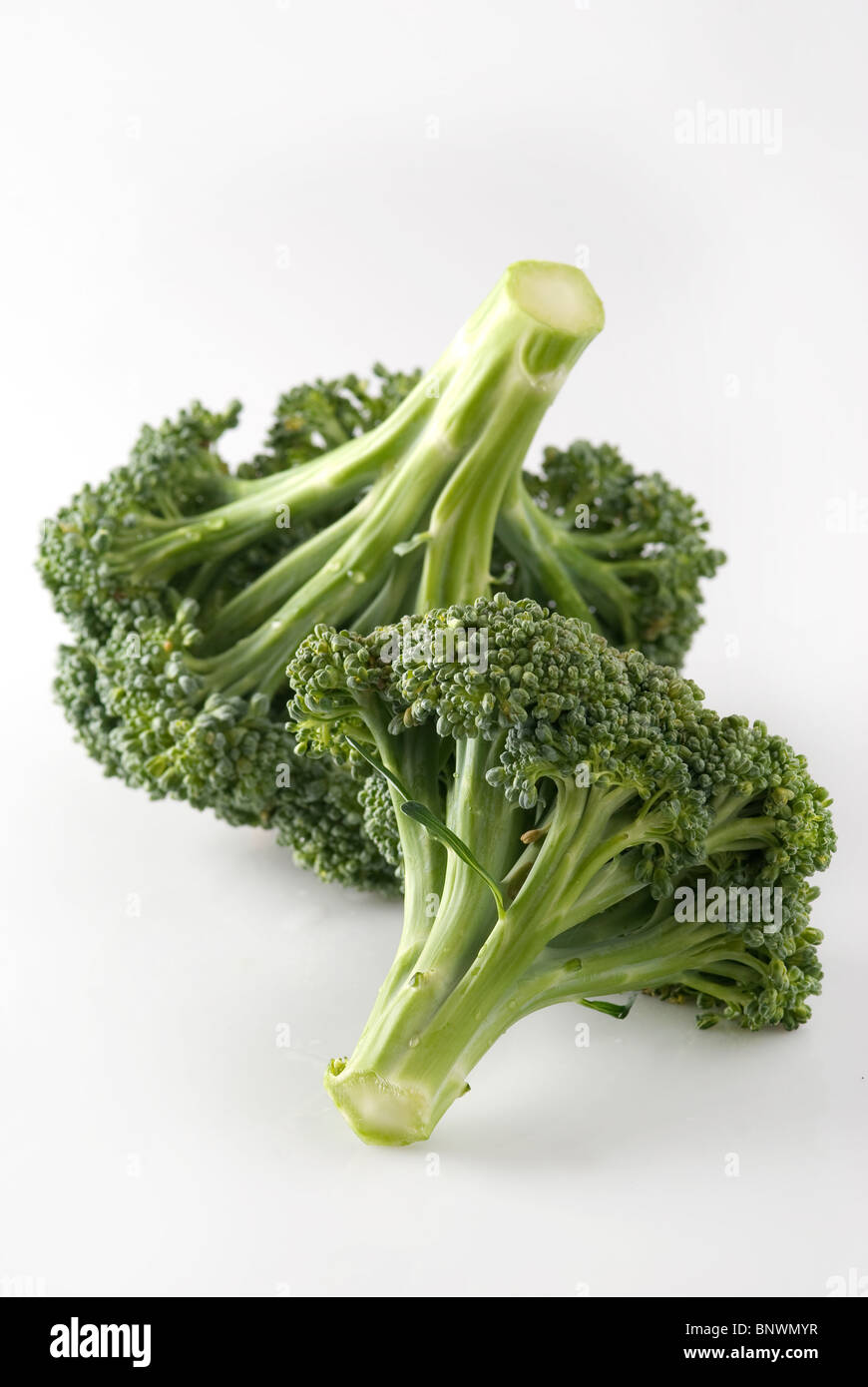 Broccoli (cultivar Calabrese) Foto Stock