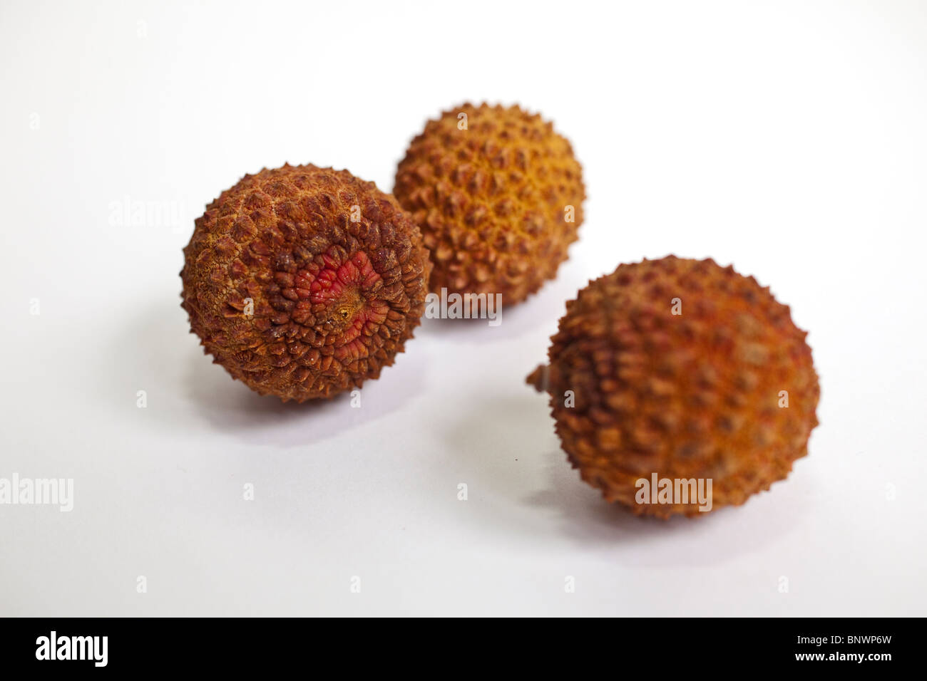 Litchi Foto Stock