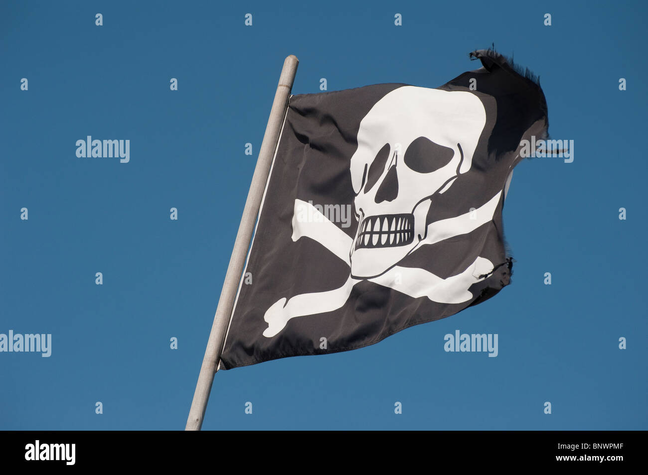 Cranio e crossbones su una bandiera in un luminoso cielo blu. Foto Stock