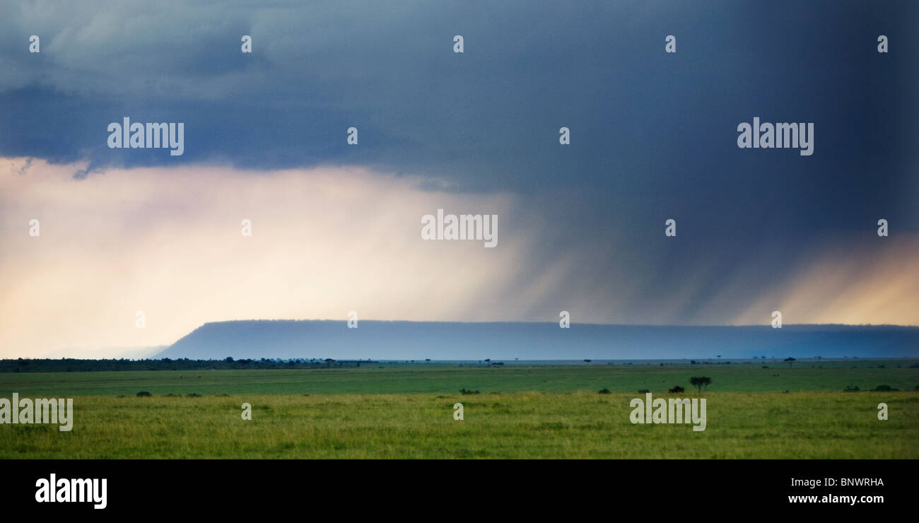 Tempesta sopra la scarpata settentrionale del Masai Mara Kenya Foto Stock