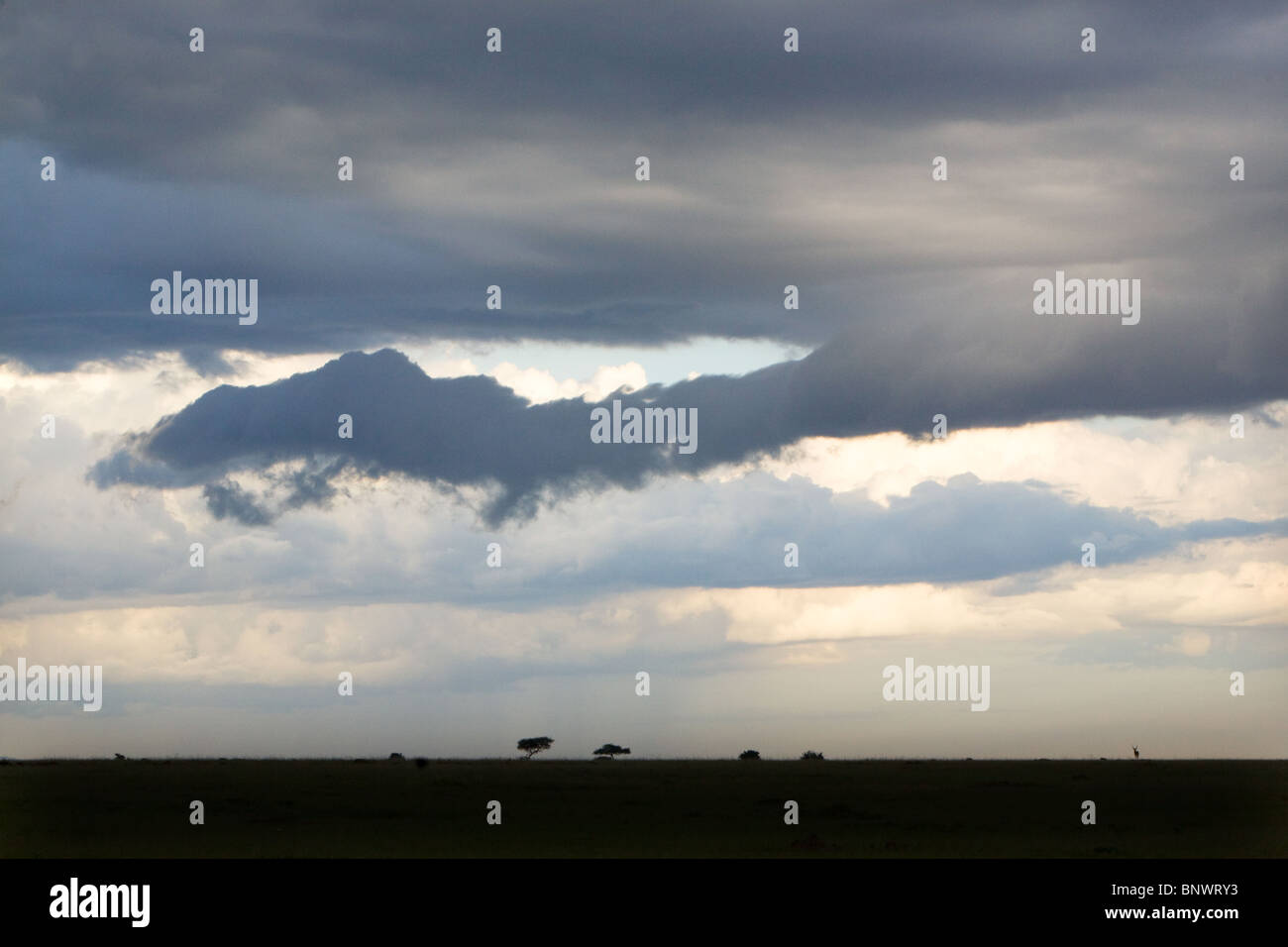 Nuvole sopra il Masai Mara Kenya Foto Stock