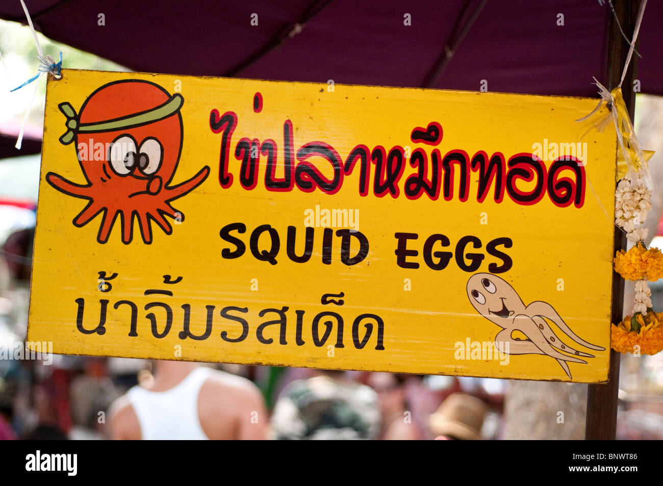 Segno per i calamari uova al mercato di Chatuchak, Bangkok, Thailandia, Asia Foto Stock