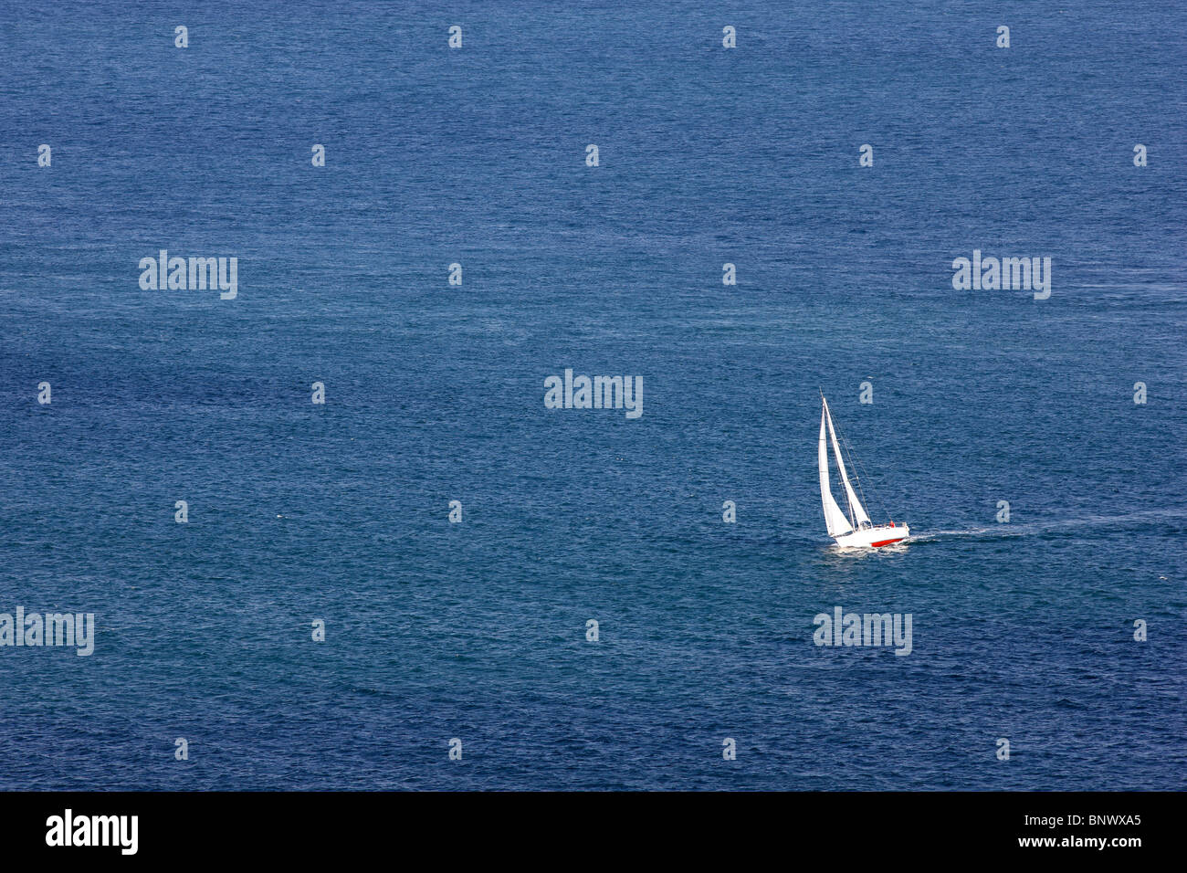 Barca a vela, yacht, barche a vela in mare aperto. Foto Stock