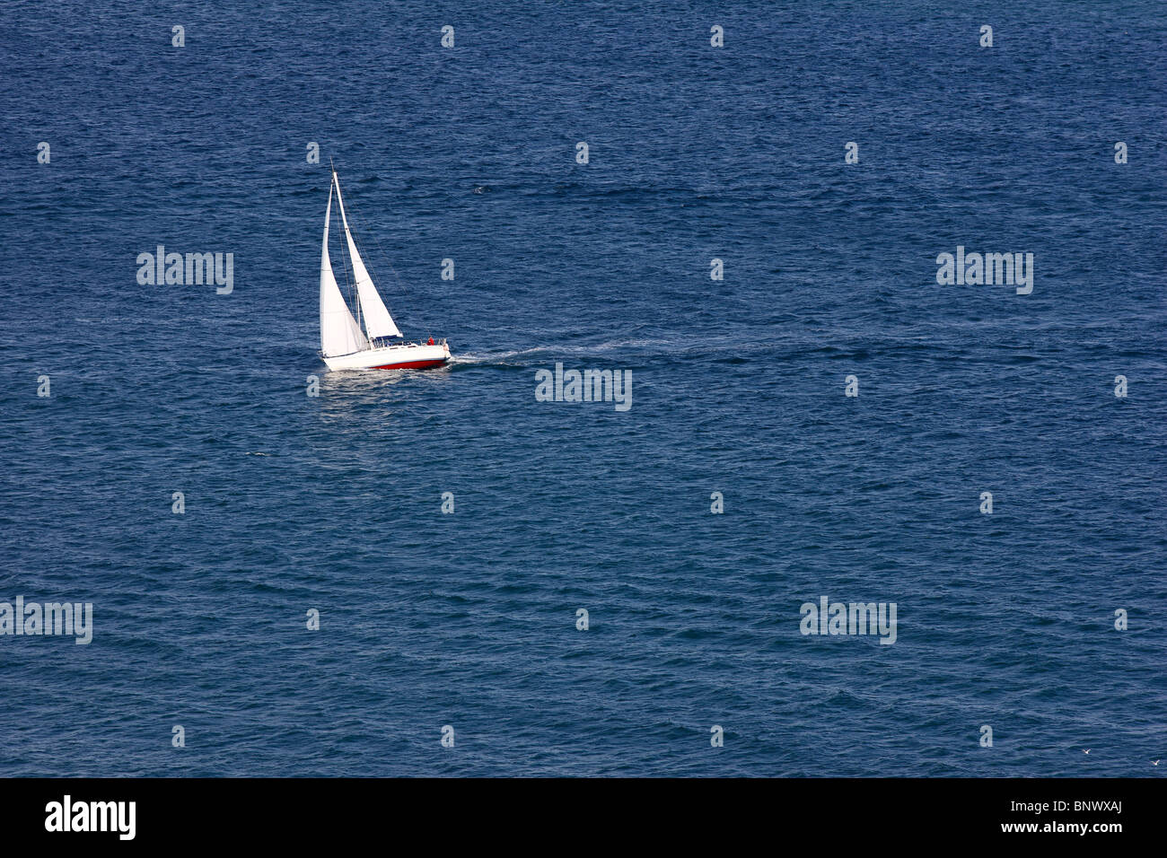 Barca a vela, yacht, barche a vela in mare aperto. Foto Stock