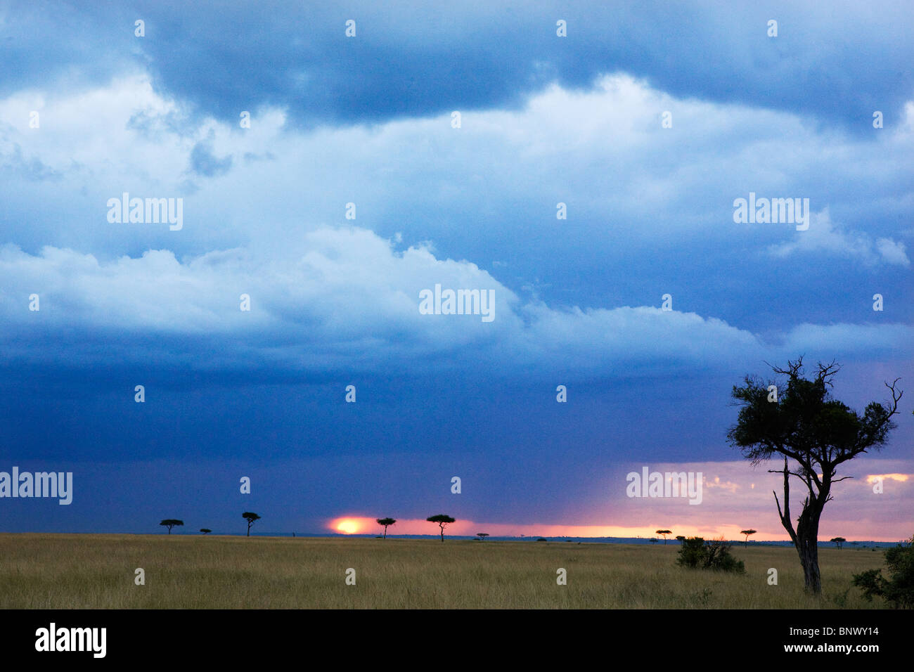 Nuvole temporalesche oltre il Masai Mara Kenya Foto Stock