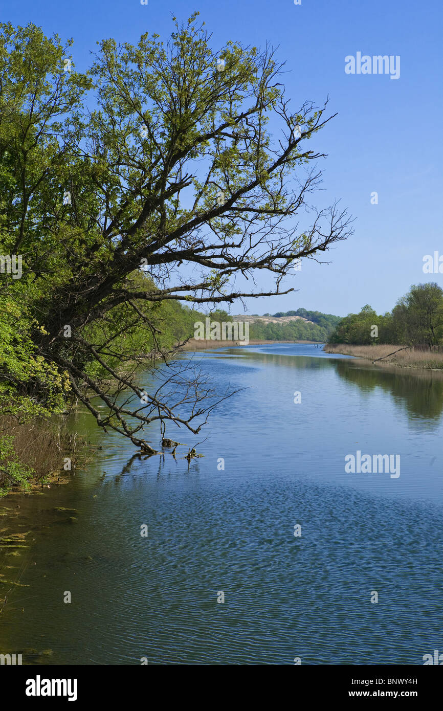 Fiume Ropotamo, riserva sulla costa del Mar Nero, Balcani, Bulgaria Foto Stock