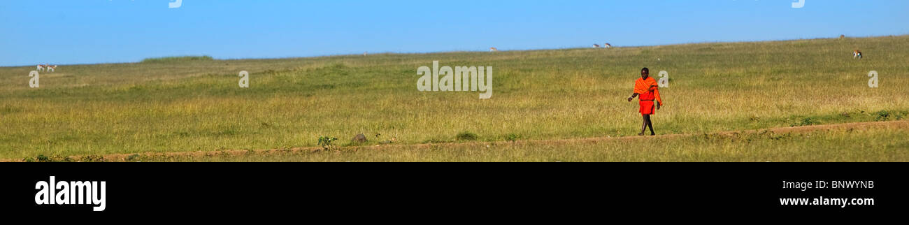 Masai uomo a camminare nel Masai Mara Kenya Foto Stock