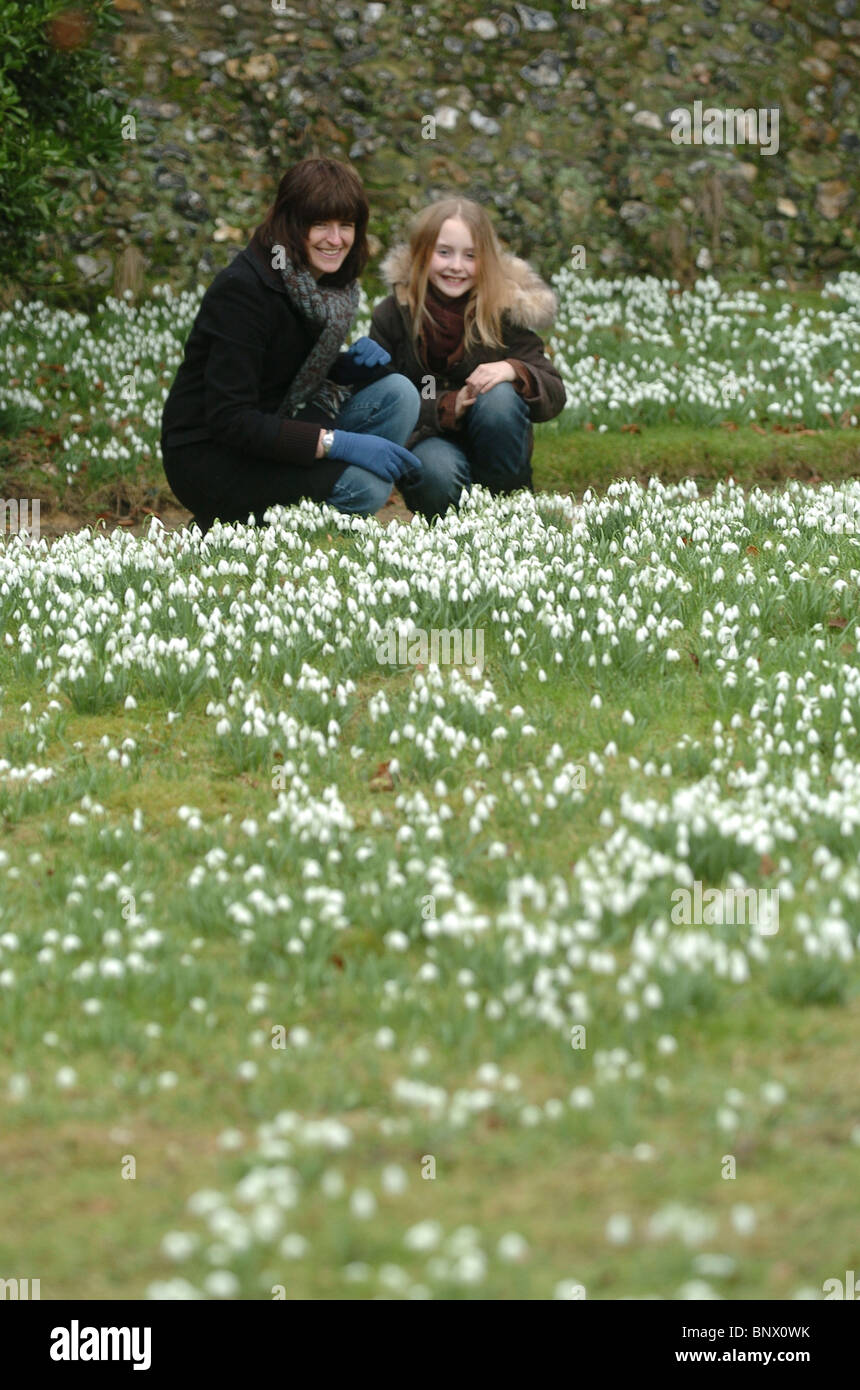 Jane (L) e Emily miglia godetevi il bucaneve a Benington Signoria, Nr. Stevenage, Herts, Regno Unito Foto Stock
