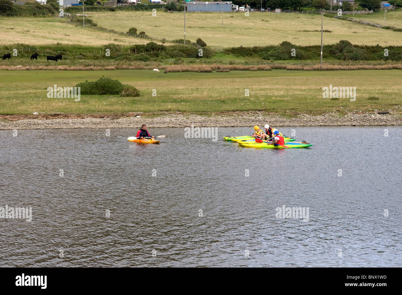 Outdoor Activity group in canoa sul Afon Dysynni river a Twywn Gwynedd Galles Centrale Foto Stock