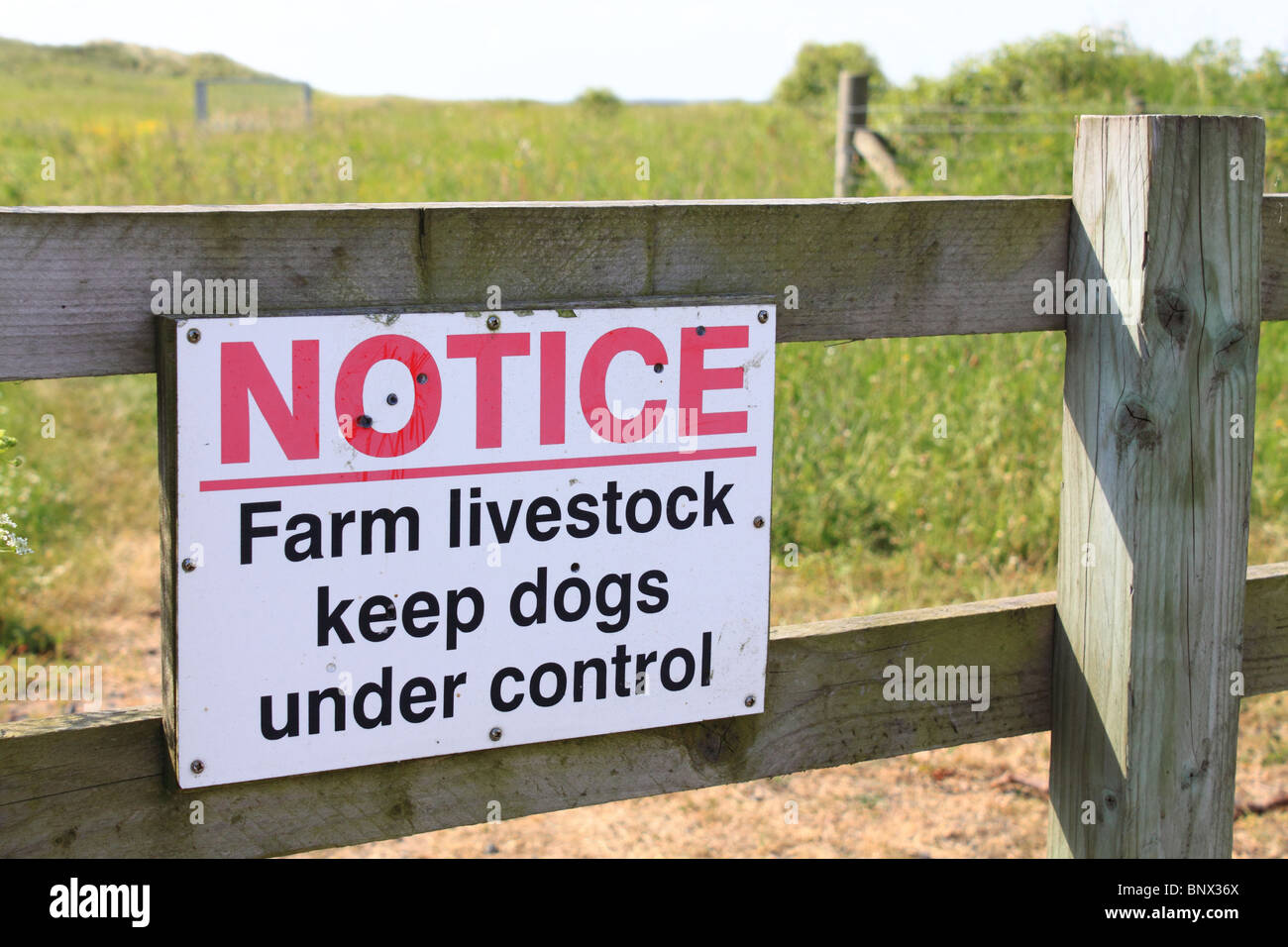 Segnale di avvertimento dirigere i proprietari di cani per tenere i cani sotto controllo, in Northumberland, Inghilterra Foto Stock