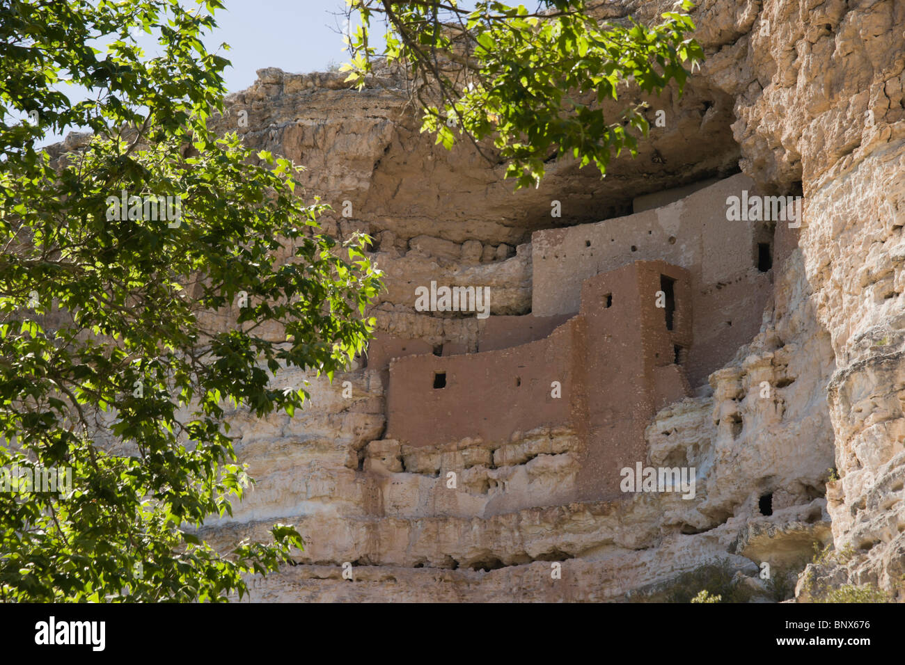 Verde Valley, Arizona, Stati Uniti d'America - Castello di Montezuma Parco nazionale storico indiani Sinagua cliff abitazione e Arizona alberi di sicomoro. Foto Stock