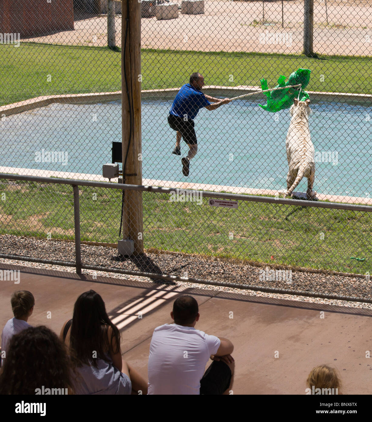 Out of Africa wildlife zoo safari. La tigre bianca e zookeeper con il pubblico a Tiger Splash show. Foto Stock