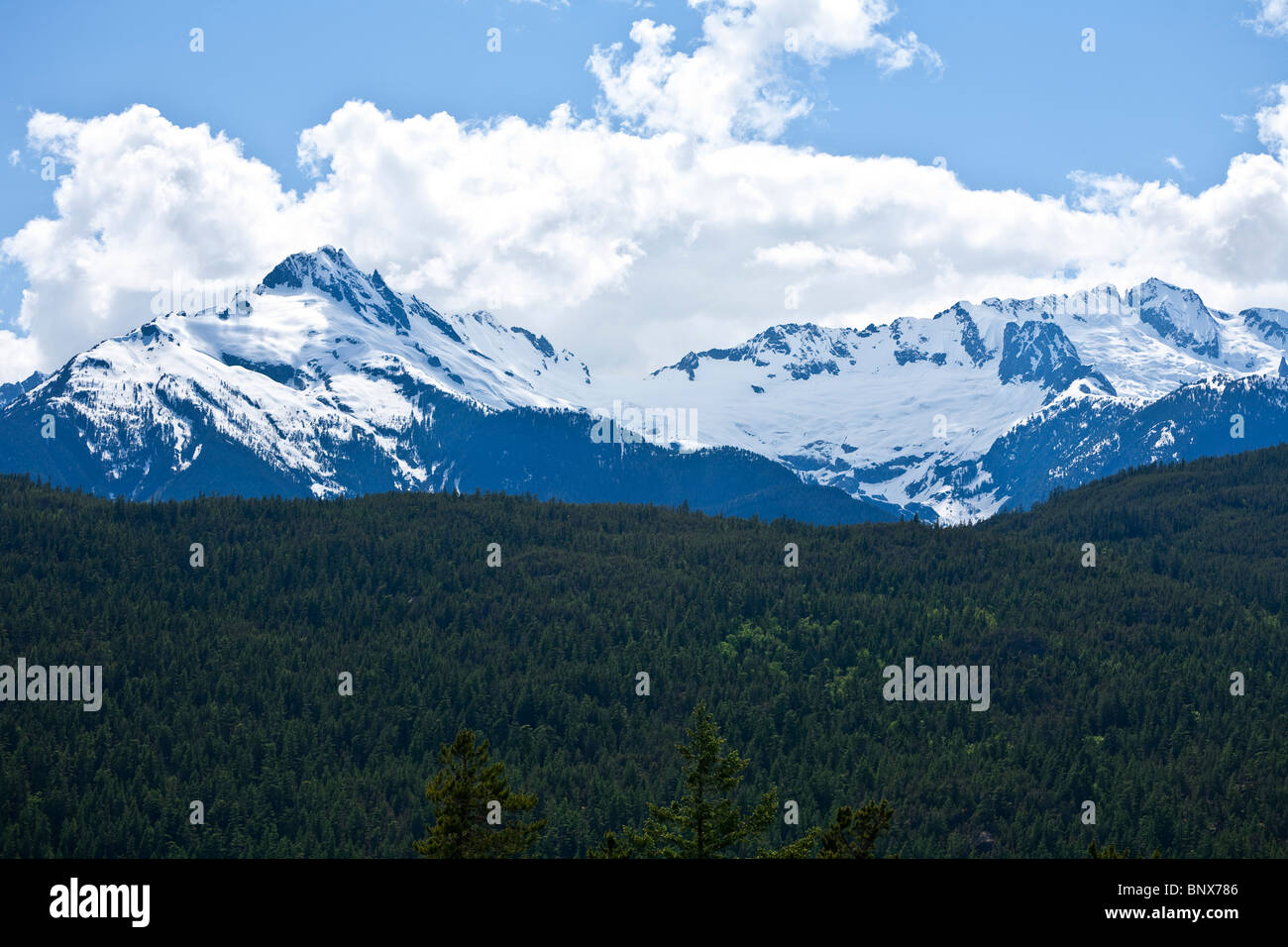 Il Tantalo gamma in Costa montagne della Columbia britannica in Canada Foto Stock