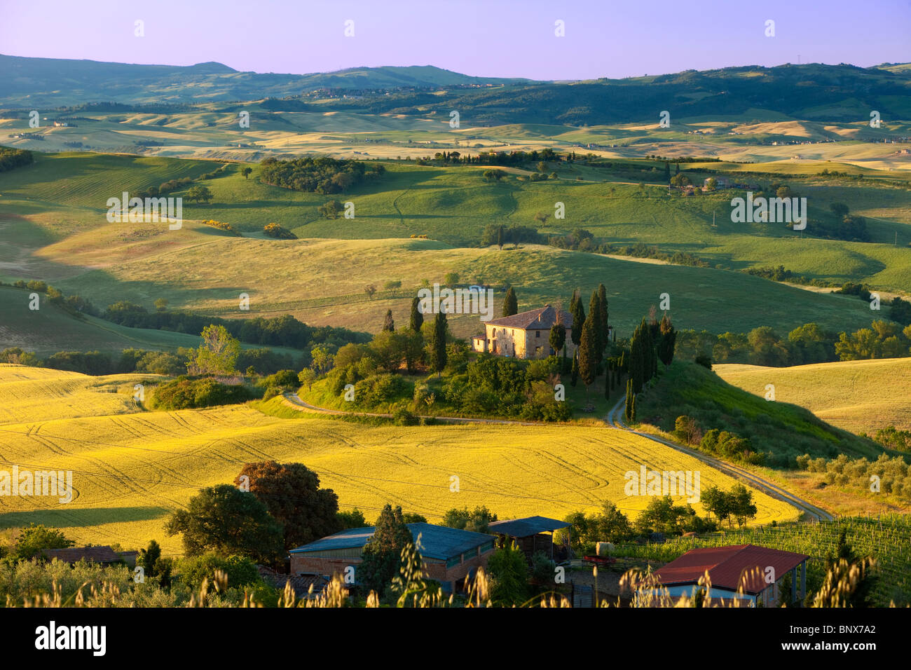 Podere Belvedere e la campagna toscana a sunrise nei pressi di San Quirico d'Orcia, Toscana Italia Foto Stock