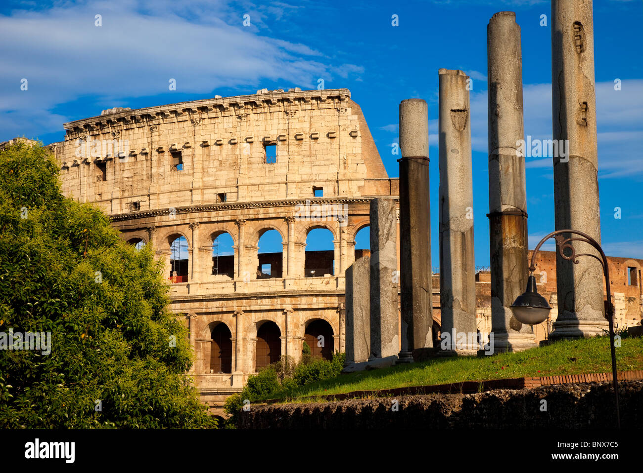Colonne antiche che conduce al Colosseo, Roma Lazio Italia Foto Stock