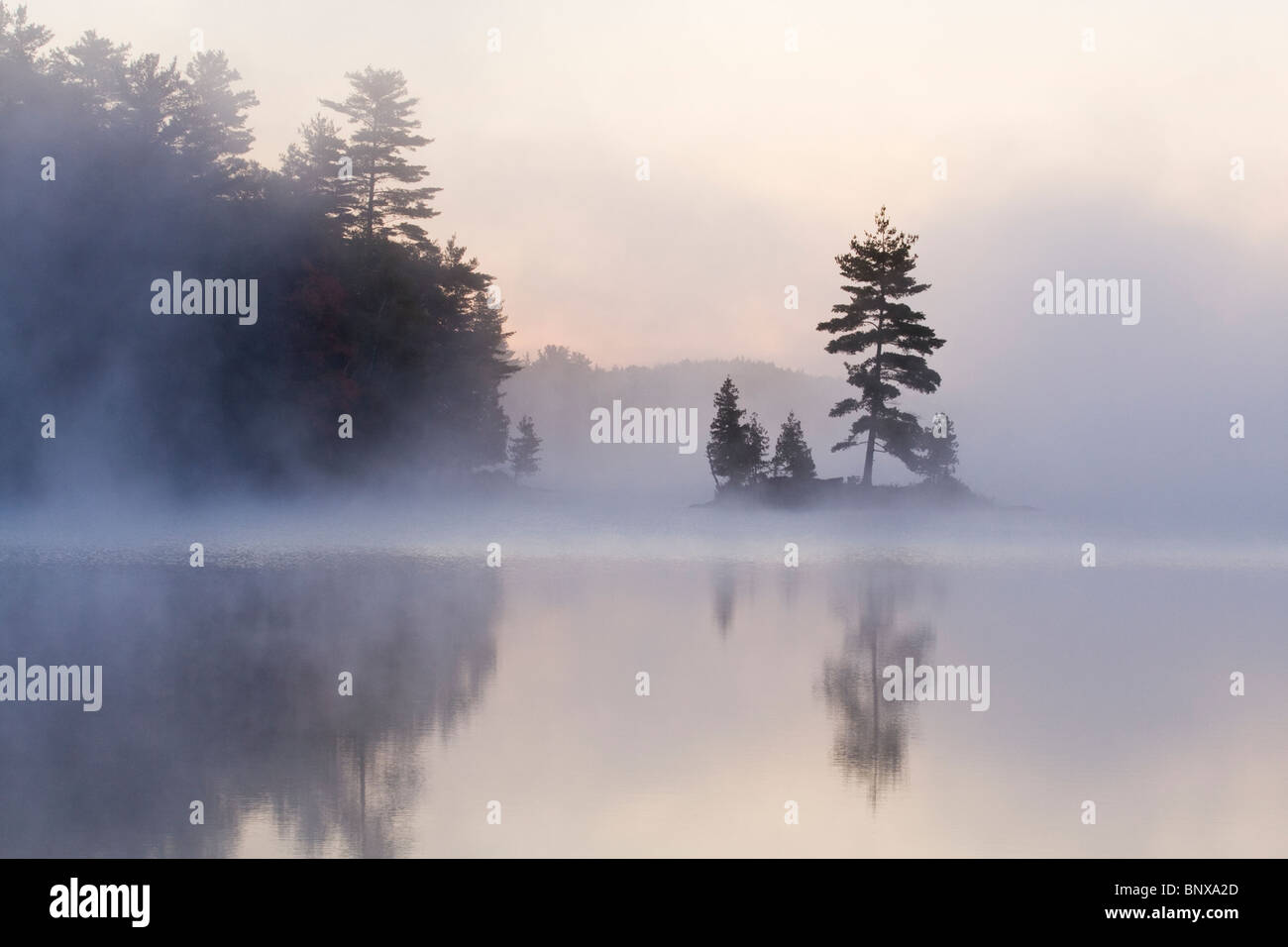 Una nebbiosa mattina autunnale sul lago silenzioso, Ontario. Foto Stock