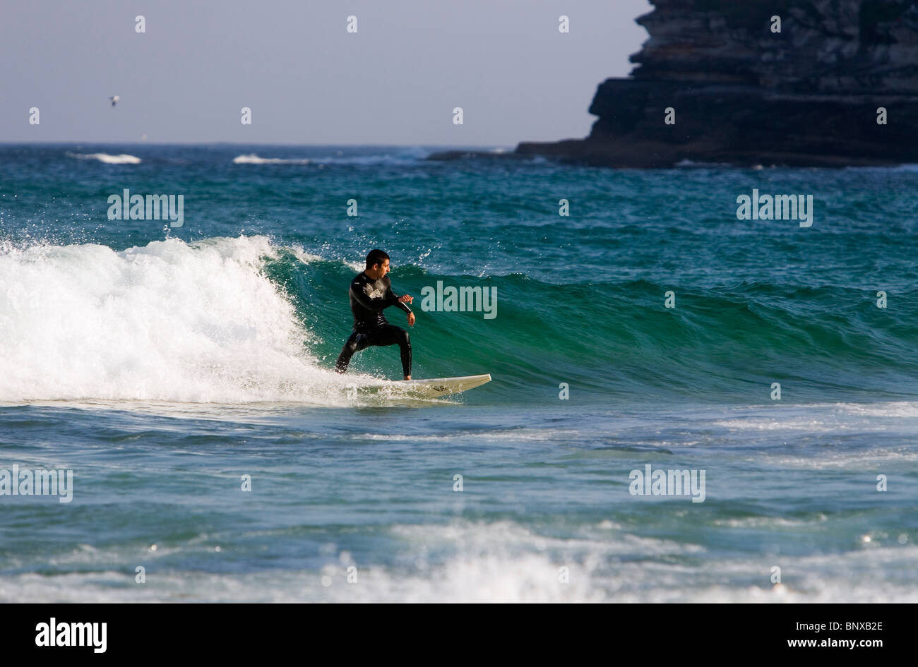 La cattura di un'onda - surfer in azione a Bondi Beach. Sydney, Nuovo Galles del Sud, Australia Foto Stock