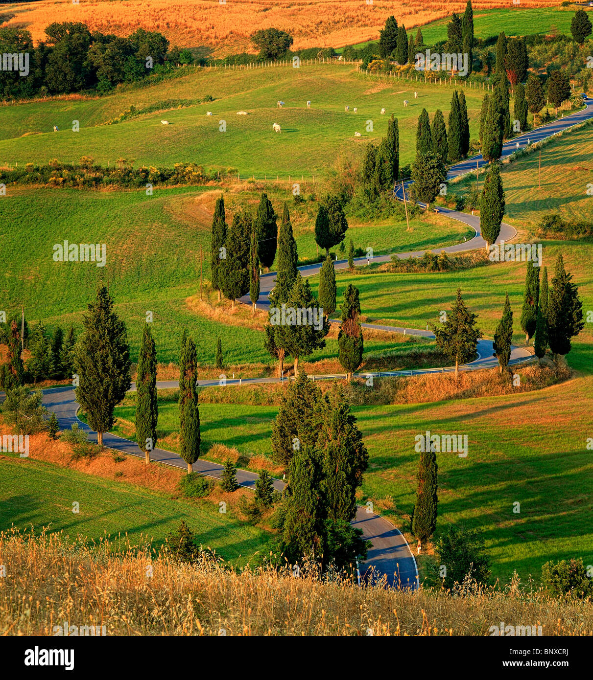 Avvolgimento strada rurale vicino alla città toscana di Monticchiello Italia Foto Stock