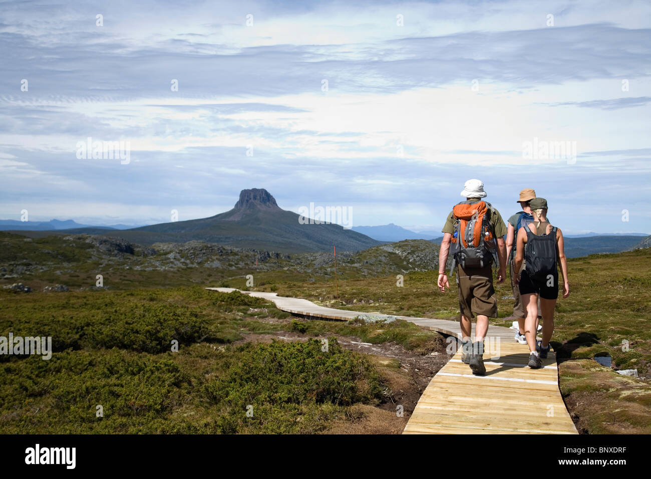 Gli escursionisti sull'Overland Track sulla culla altopiano. Cradle Mountain-Lake St Clair National Park, la Tasmania, Australia Foto Stock