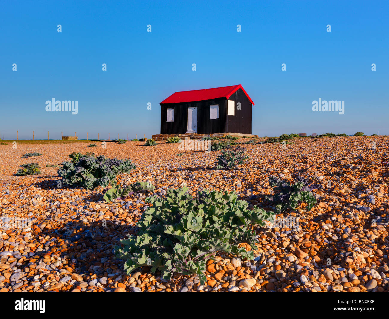 Fisherman's capanna, Rye Harbour, East Sussex Foto Stock