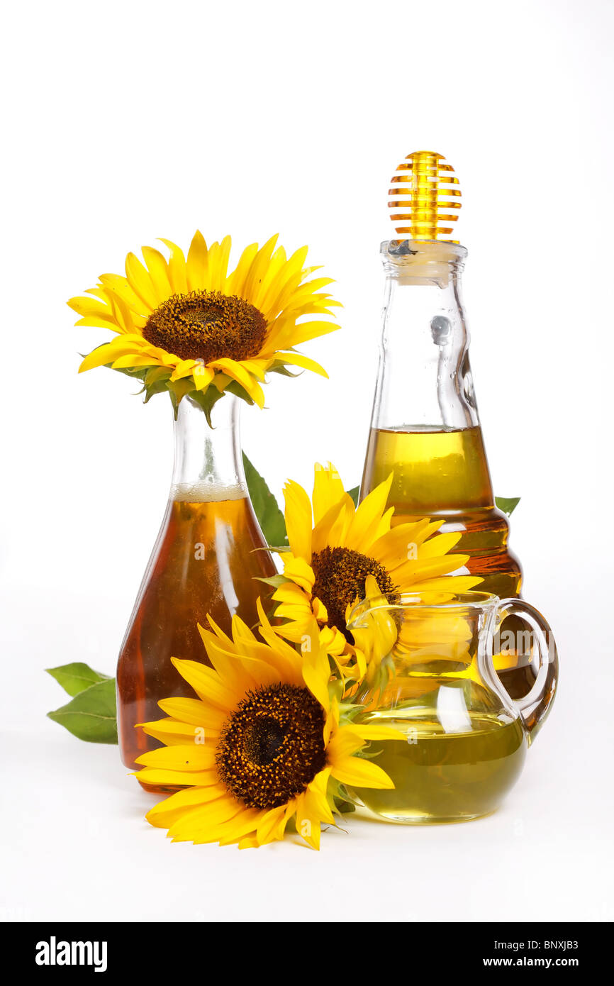 olio di girasole Foto Stock