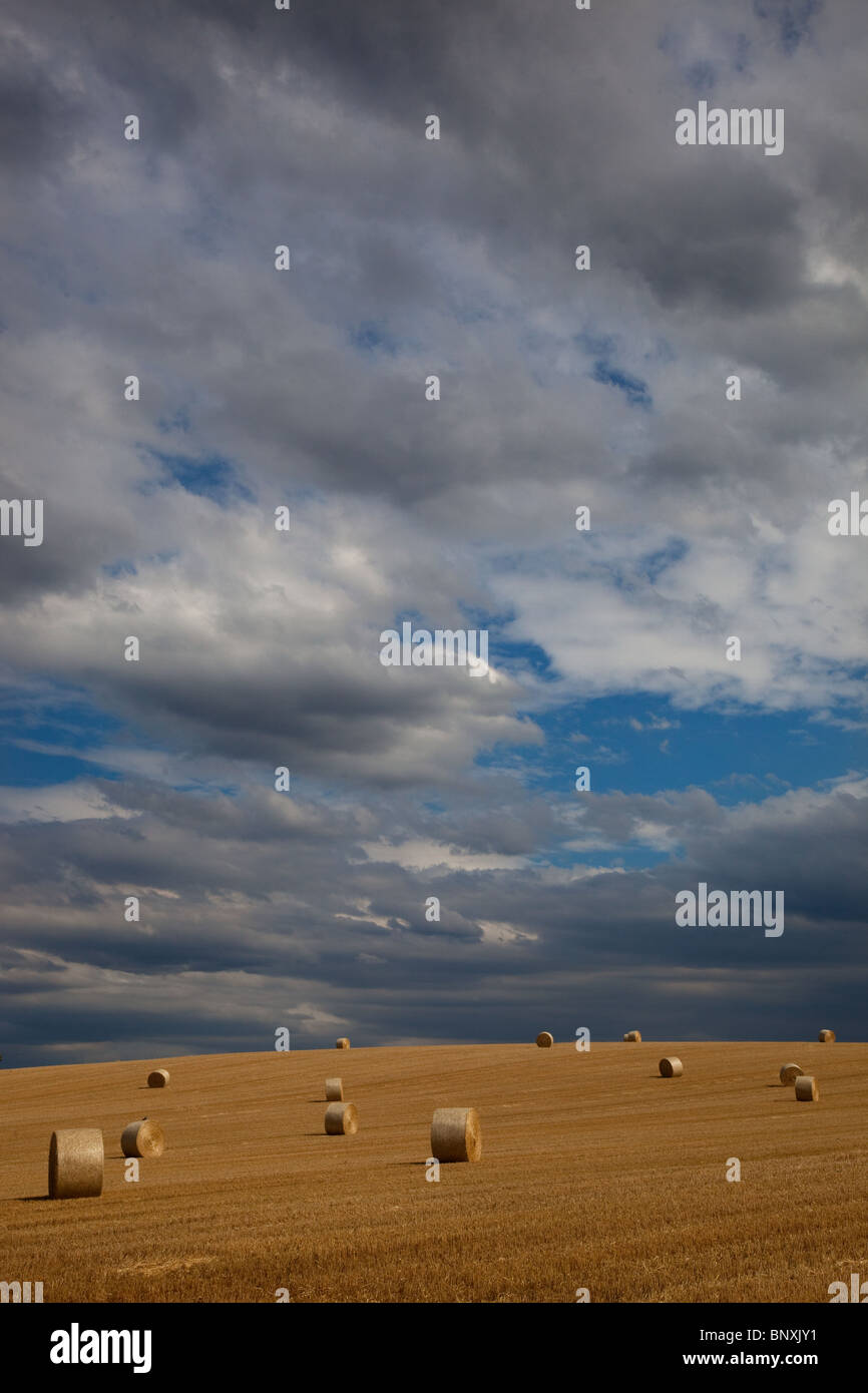 Le balle di paglia dopo la mietitura al villaggio Cley Norfolk Luglio Foto Stock