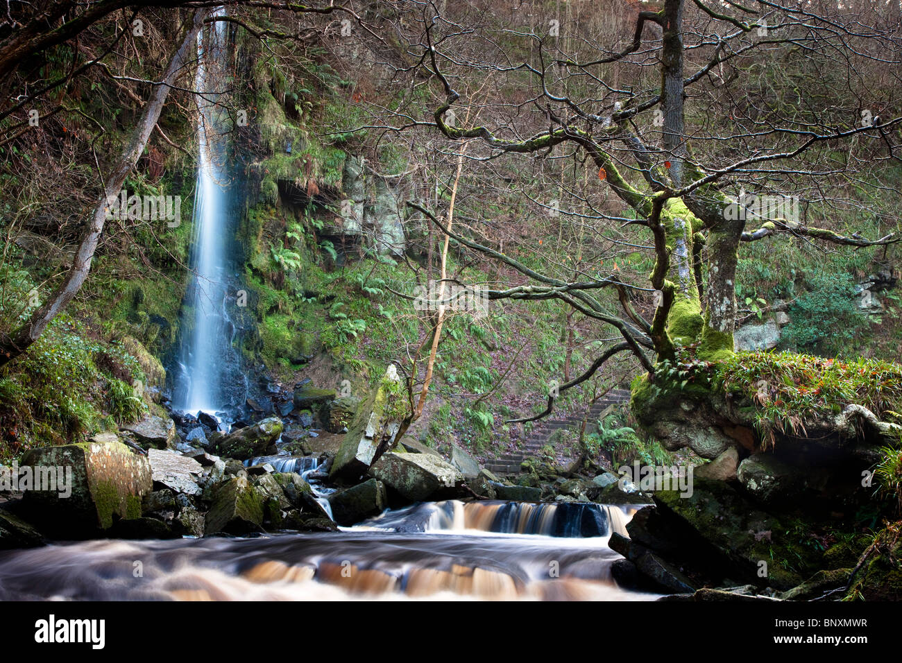 Mallyan Spout cascata e West Beck in inverno, vicino a Goathland, North York Moors National Park Foto Stock