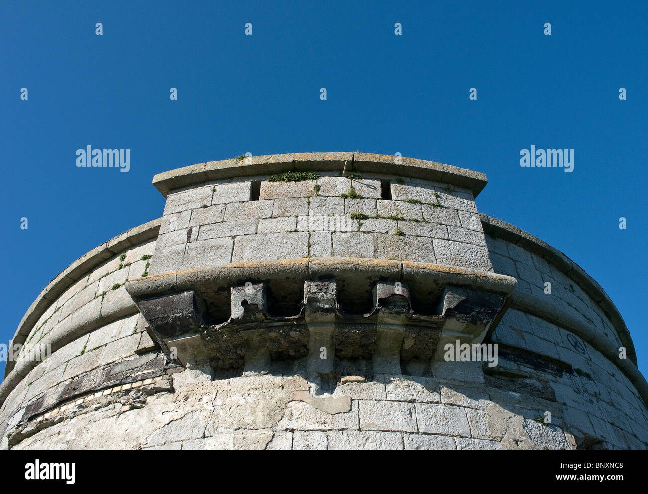 Il periodo napoleonico Martello torre difensiva sull Isola Rossa in corrispondenza della località balneare di Skerries, regione settentrionale della contea di Dublino, Irlanda Foto Stock