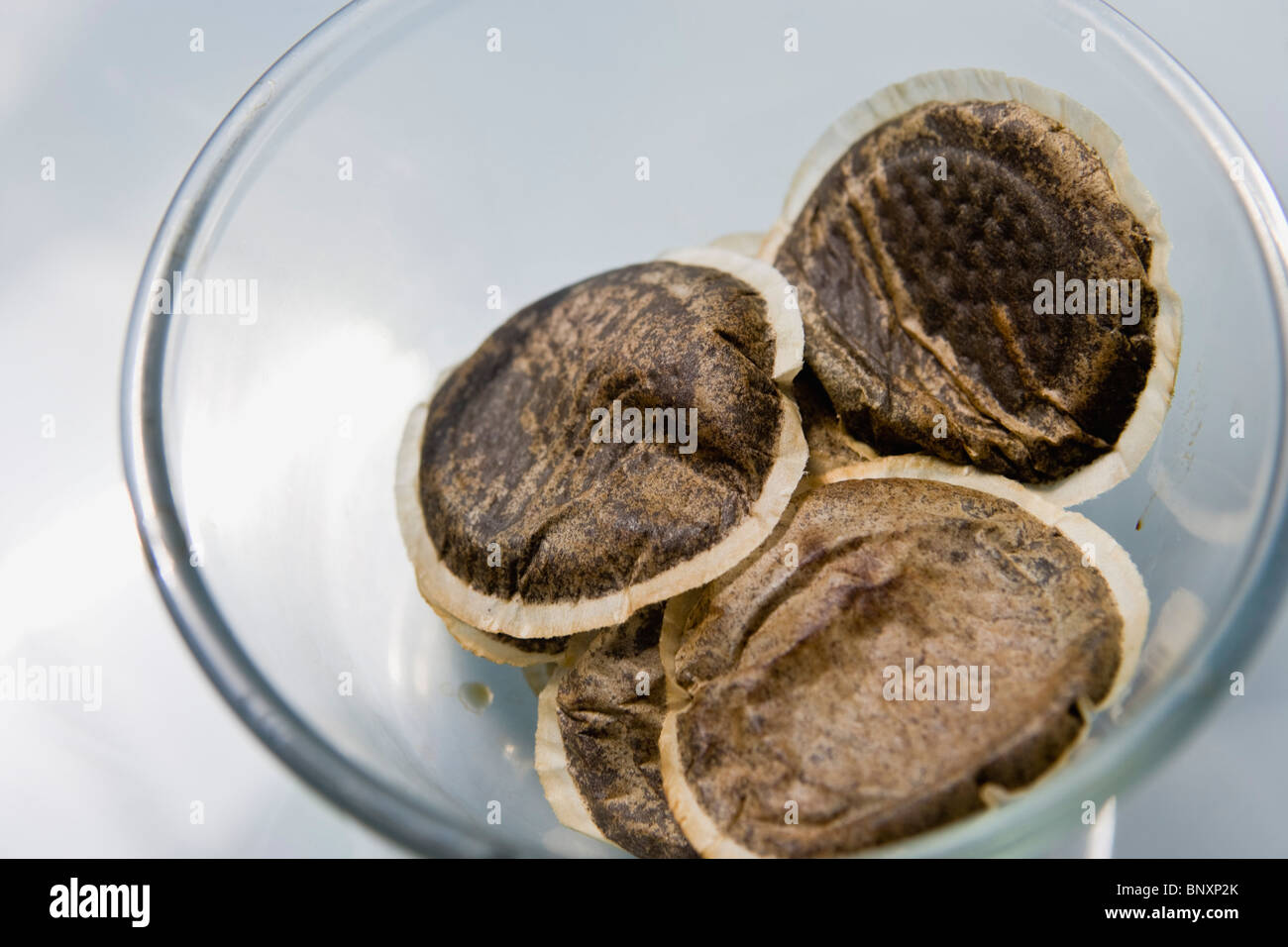 Usate le cialde di caffè Foto Stock