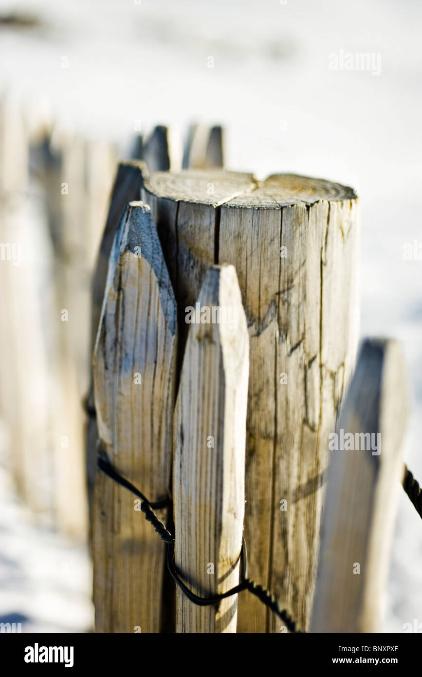 Staccionata in legno post Foto Stock