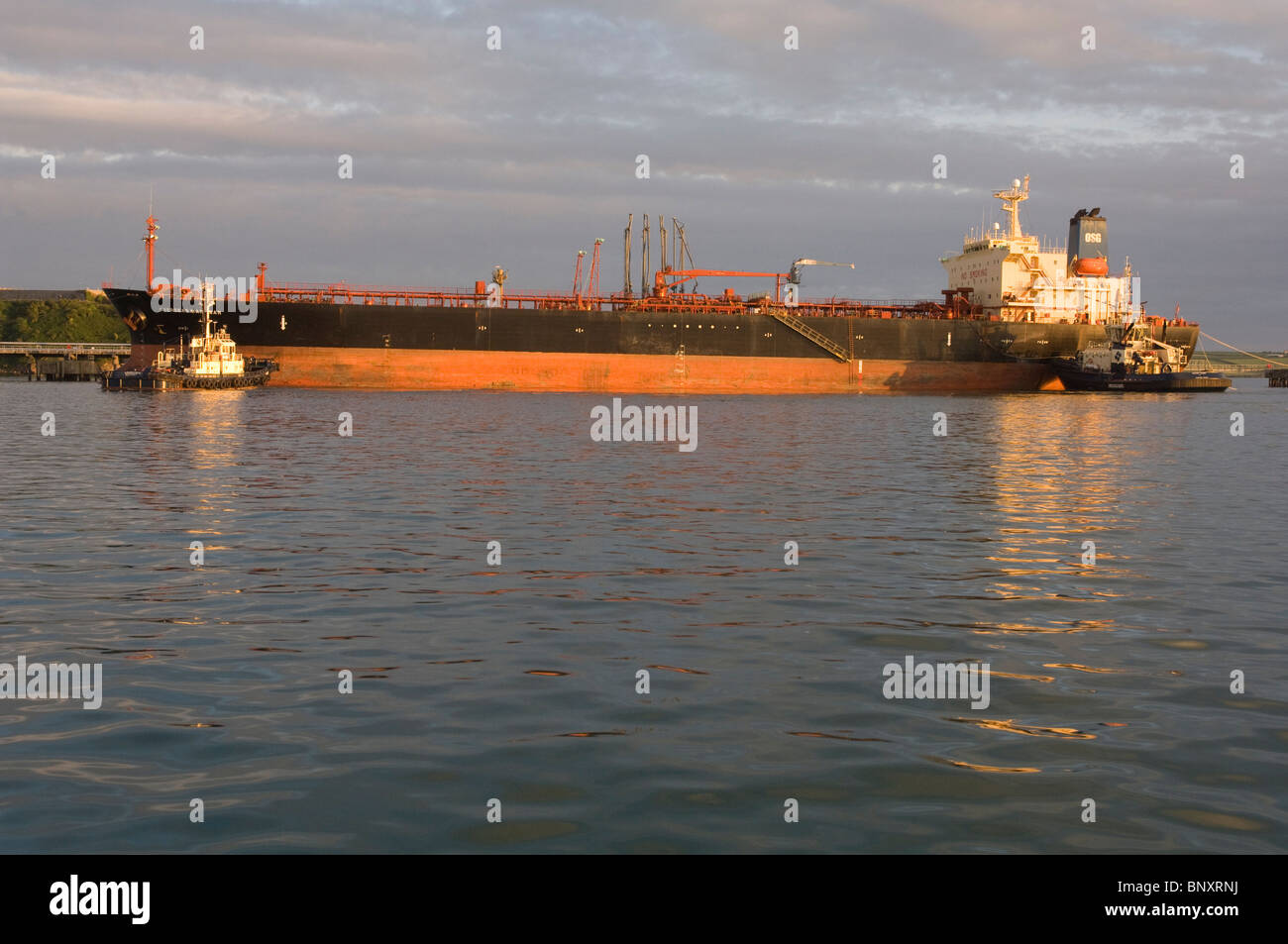 Rimorchiatori spingendo petroliera su jetty, Texaco raffineria di petrolio, Milford Haven, Pembrokeshire, Wales, Regno Unito, Europa Foto Stock
