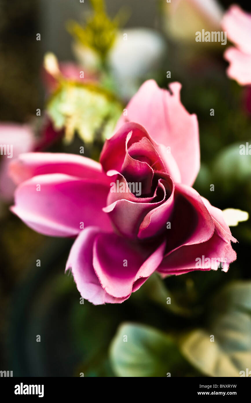 Fiore di seta Foto Stock