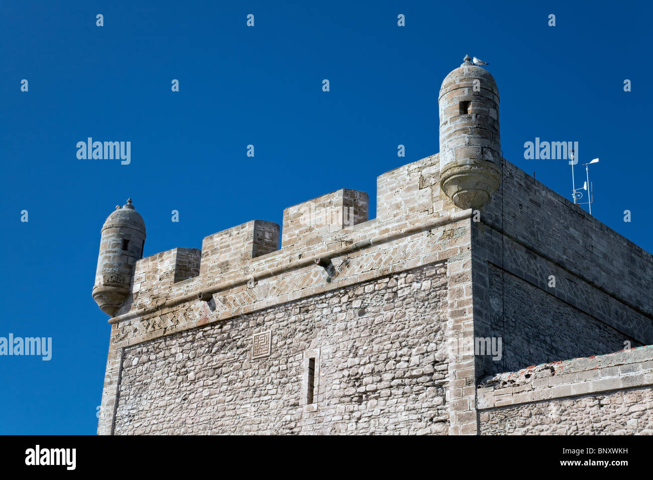 Skala du Port (fortificazioni storiche, dettaglio), Essaouira, costa atlantica, Marocco Foto Stock