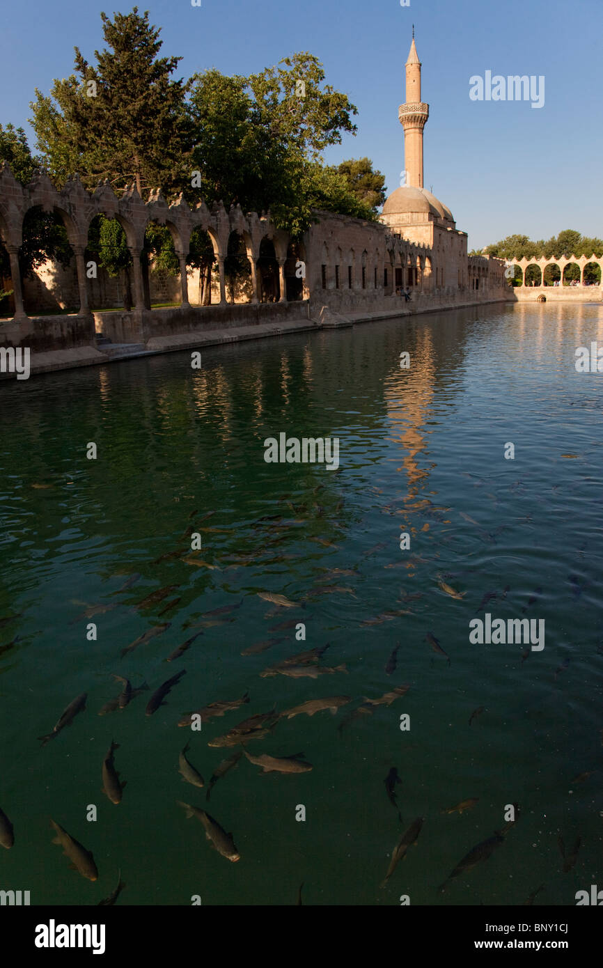 Pool di Abramo o Balikli gol in Sanliurfa ovvero Urfa, Turchia Foto Stock