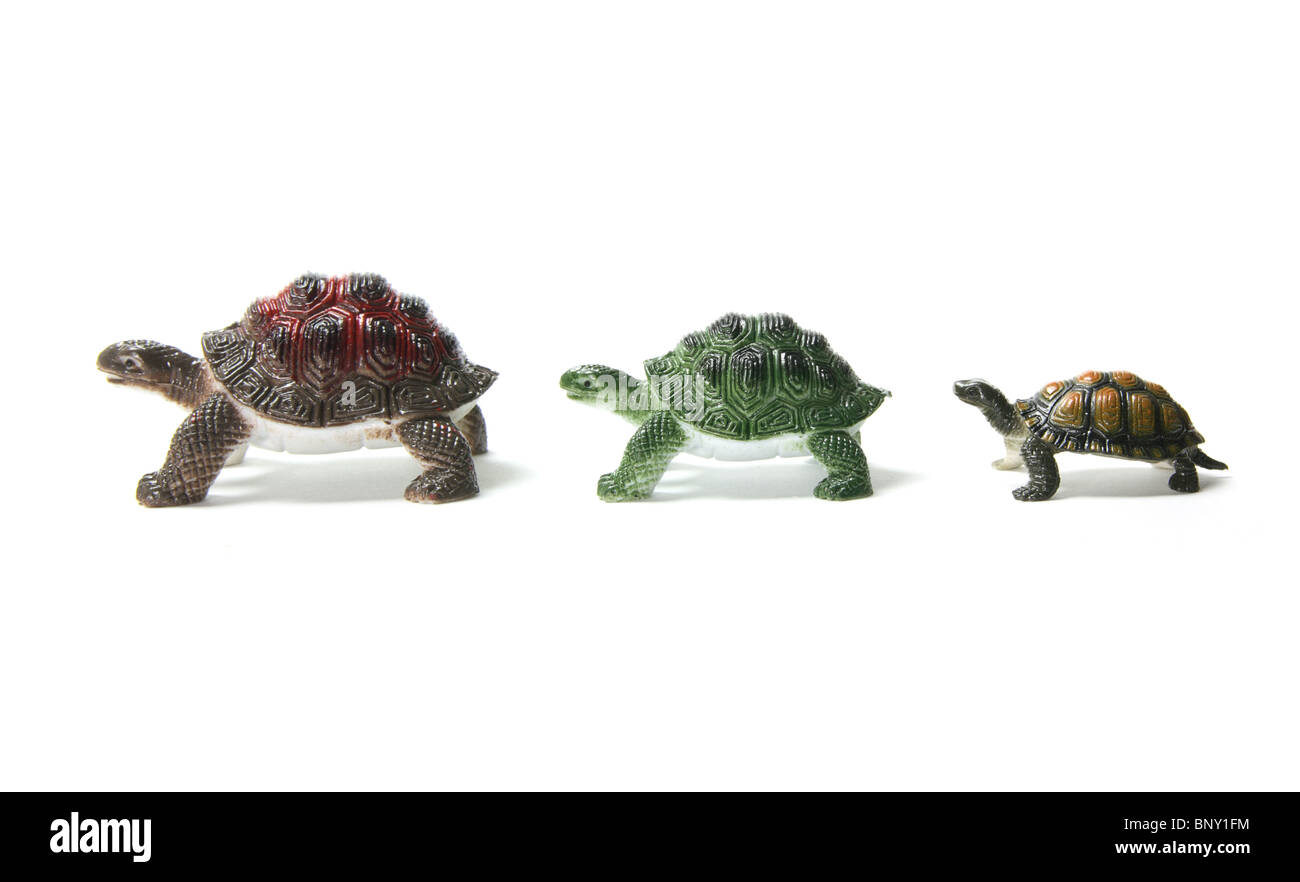 Tartarughe in miniatura Foto Stock
