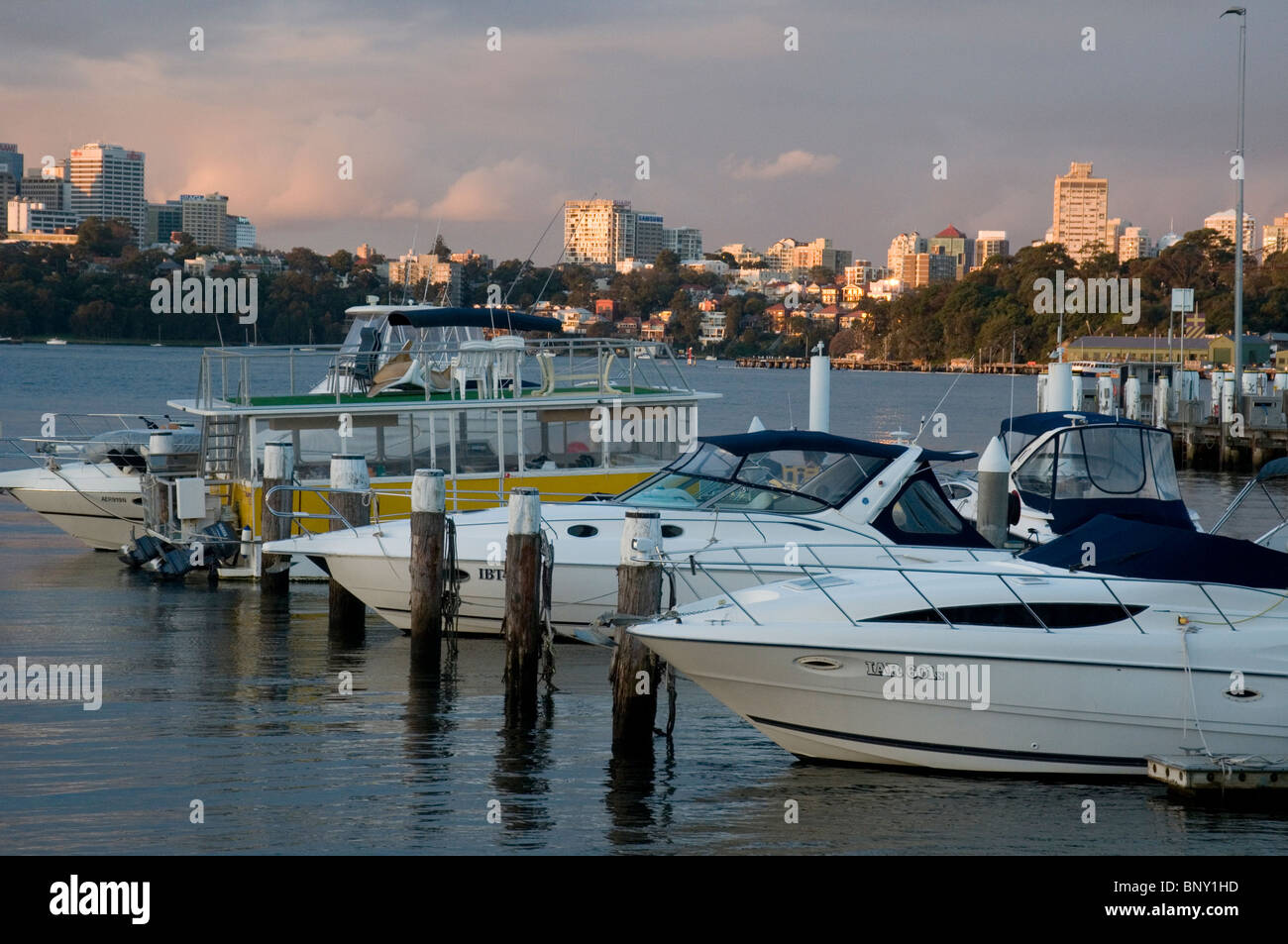 Lavender Bay e sul porto di Sydney che si vede attraverso Mort Bay da Balmain, Australia Foto Stock