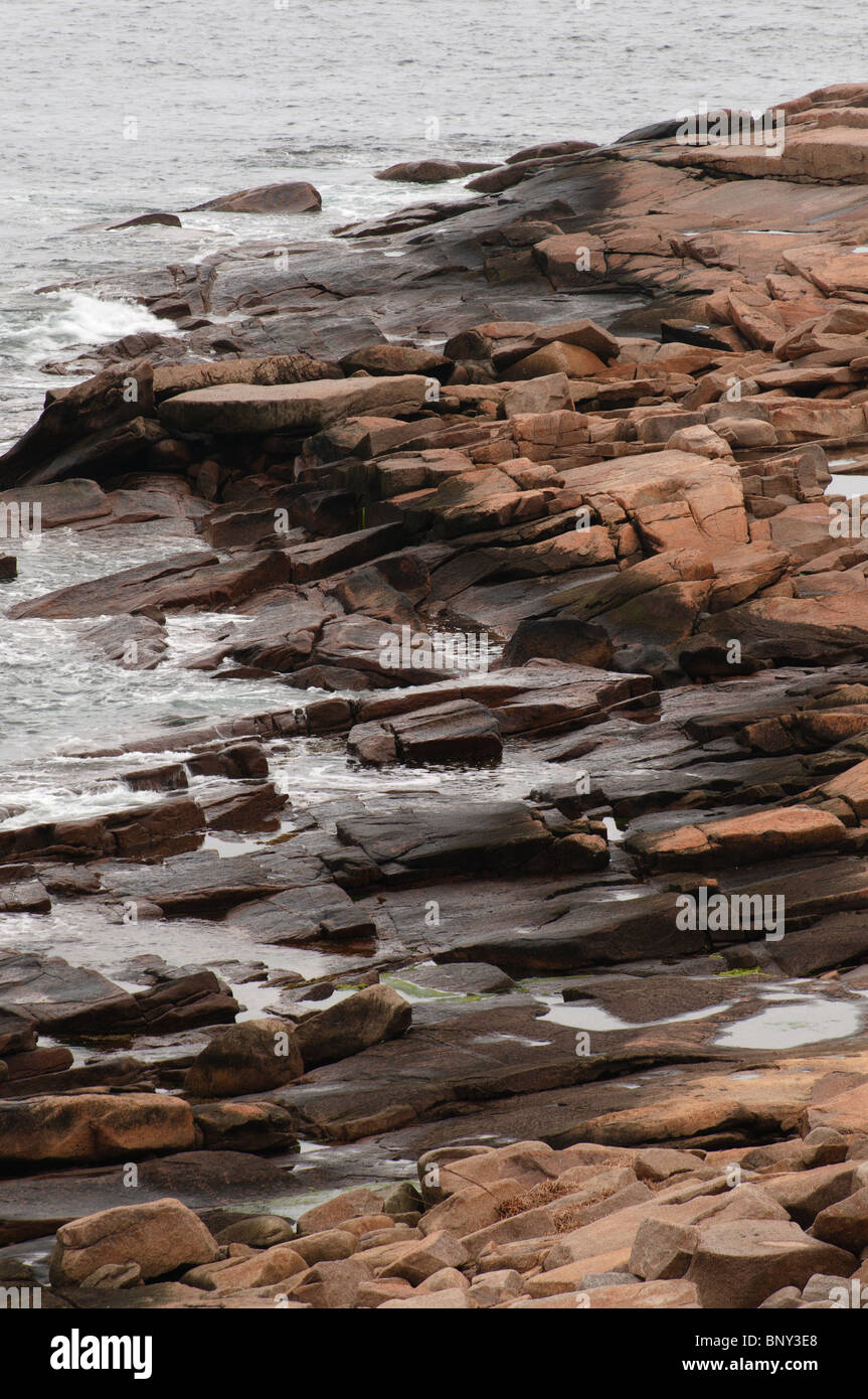 Seashore rocce di Halibut Point, Rockport, Massachusetts Foto Stock