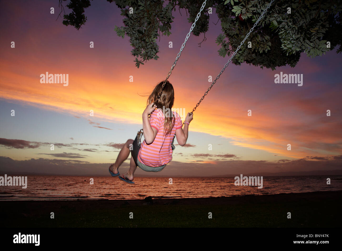 Giovane ragazza su swing corda sotto albero Pohutukawa al tramonto, Thames, Coromandel, Isola del nord, Nuova Zelanda Foto Stock