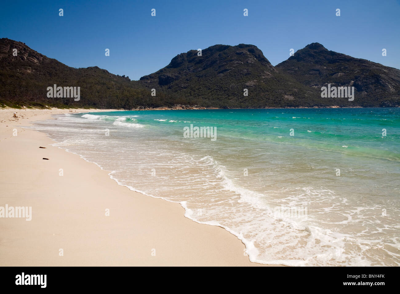 Wineglass Bay. Parco Nazionale di Freycinet, Tasmania, Australia. Foto Stock