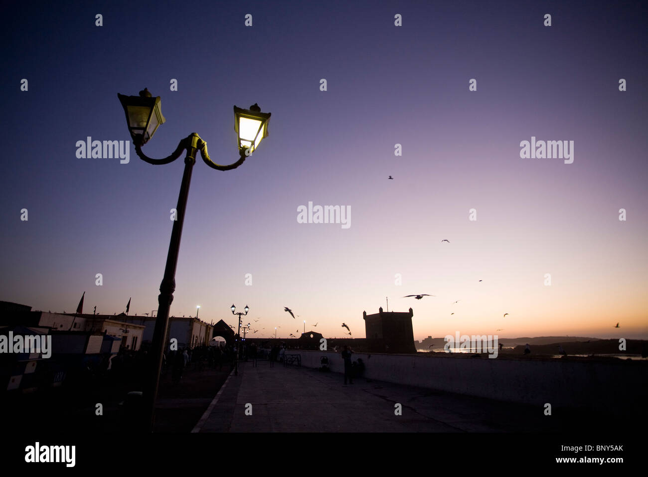 Marocco Essaouira, vista sulla marina al tramonto Foto Stock
