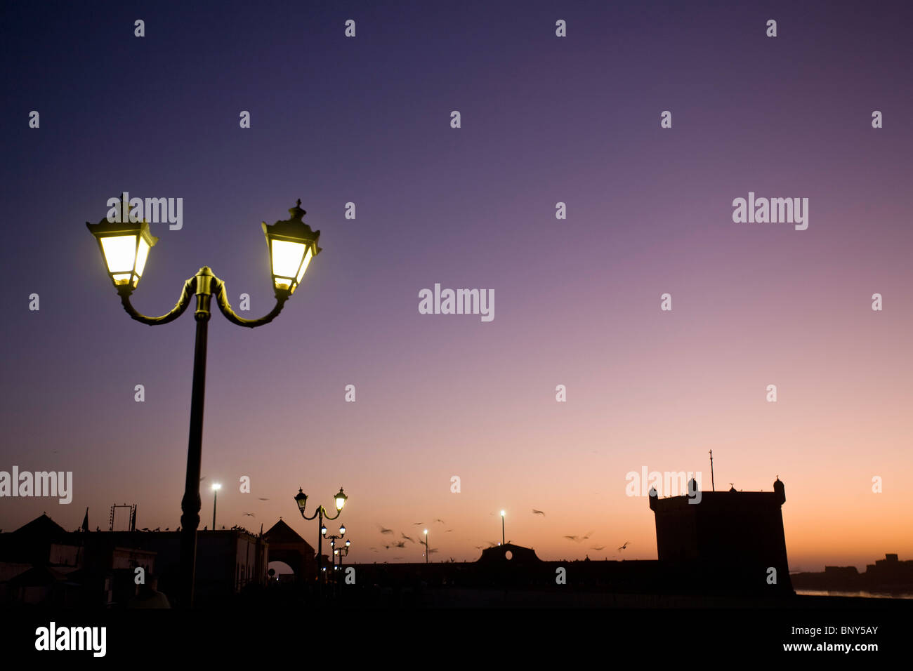 Marocco Essaouira, vista sulla marina al tramonto Foto Stock