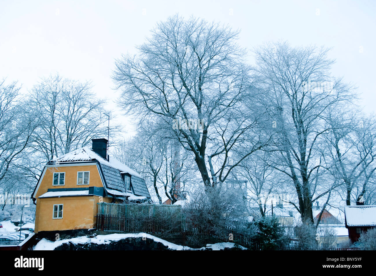 Casa nel paesaggio invernale Foto Stock