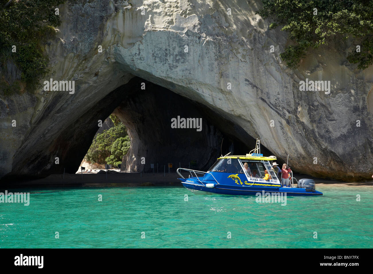 In barca dal fondo di vetro, Cove della cattedrale, Penisola di Coromandel, Isola del nord, Nuova Zelanda Foto Stock