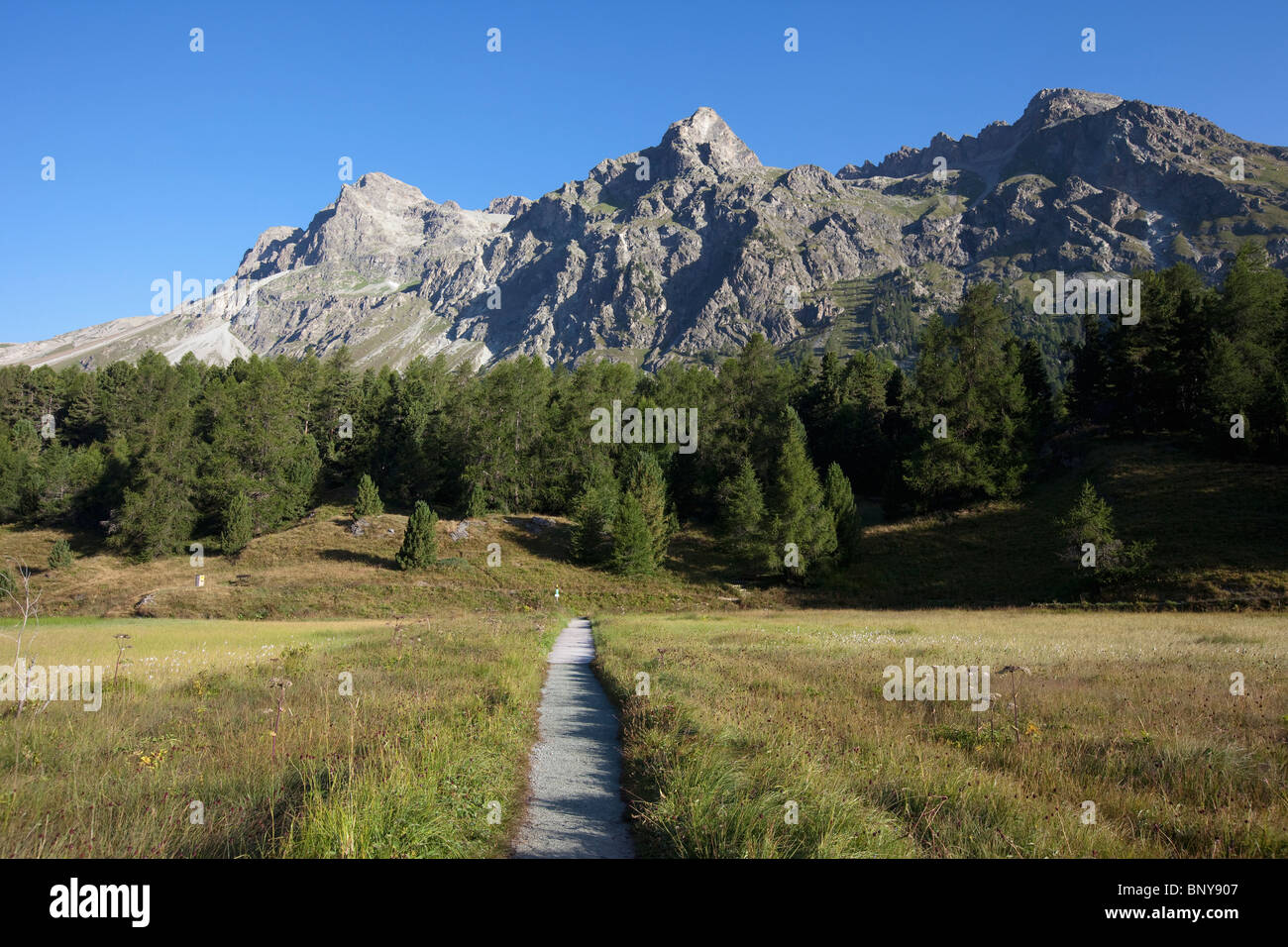 Piccolo percorso voce nella foresta di montagna Foto Stock