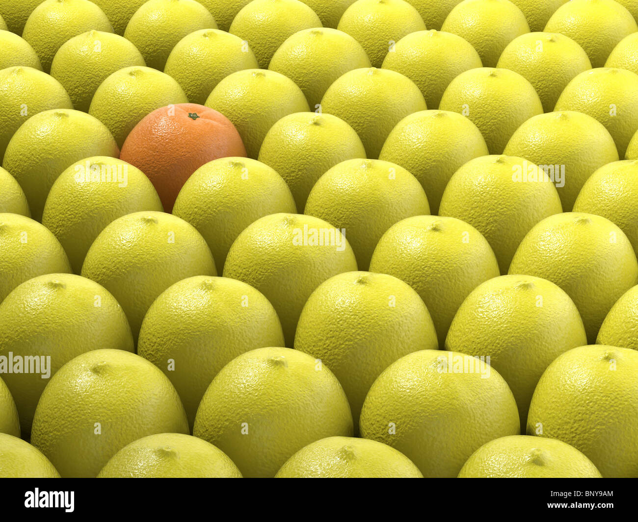 Arancione univoco tra molti limoni come concetto per distinguersi Foto Stock